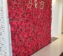red-rose-flower-wall