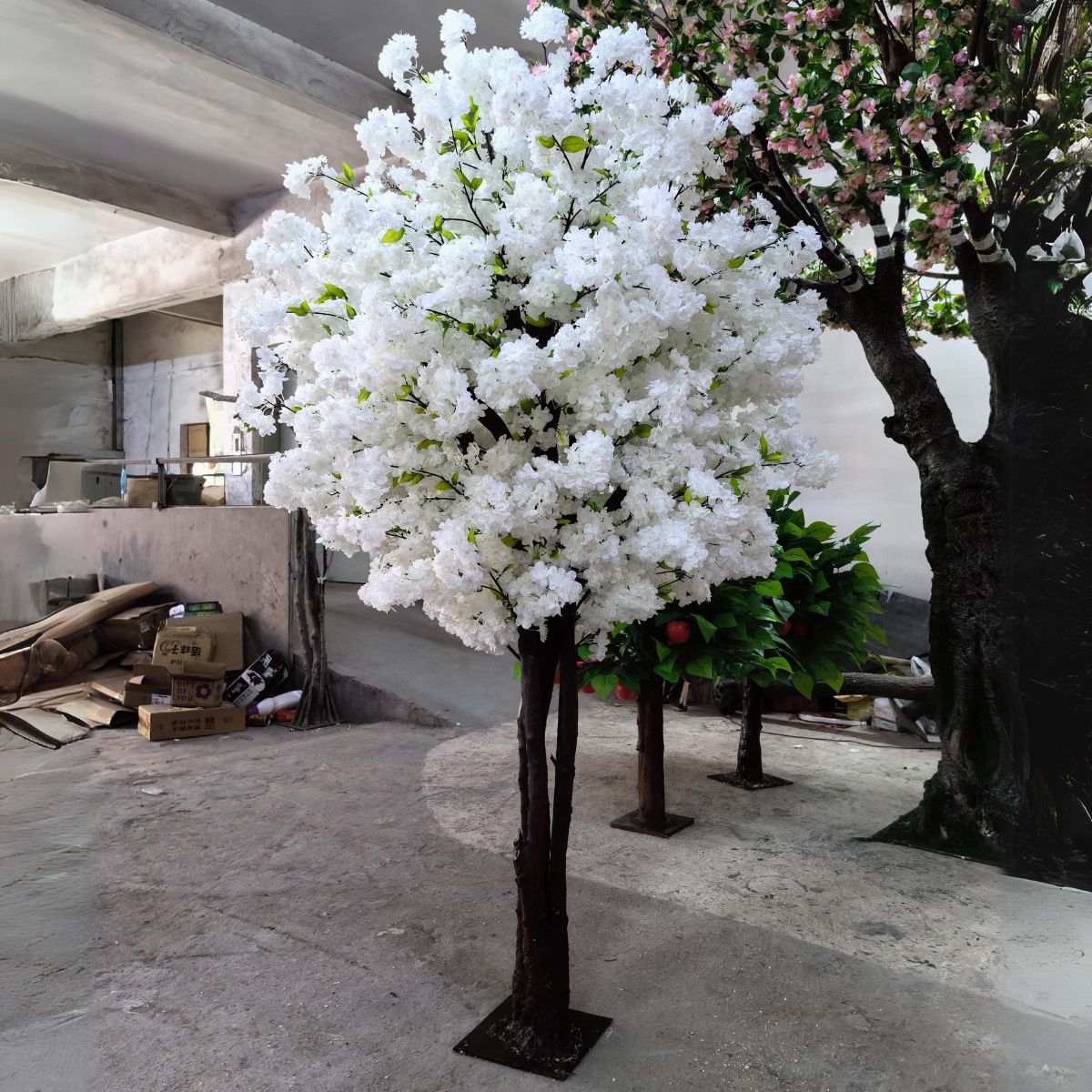 White Cherry Blossom Tree Kingston