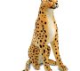 giant-cheetah-stuffed-animal