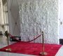 red-carpet-rental-7x10